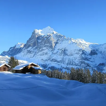 Daire Chalet Casita Grindelwald